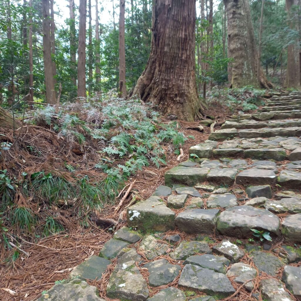 大門坂途中の石畳