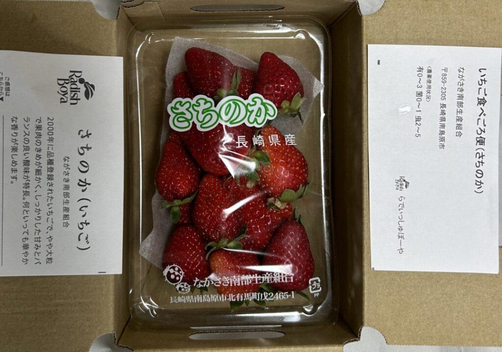 長崎県産いちご『さちのか』と説明書の画像