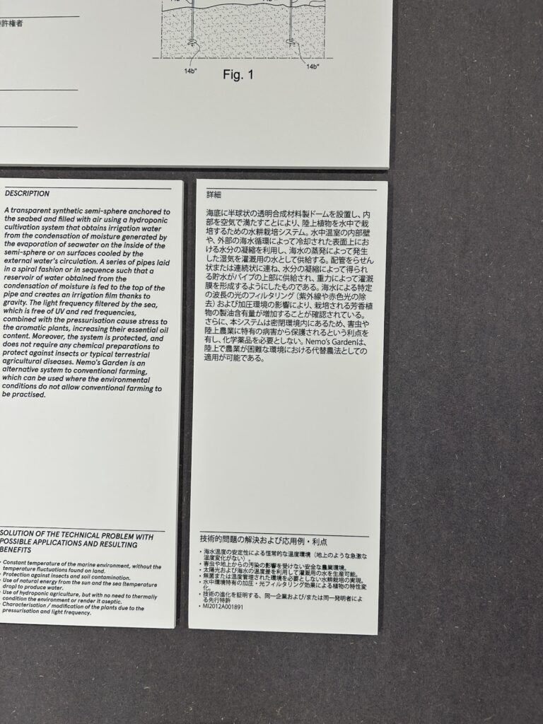 日本語の説明