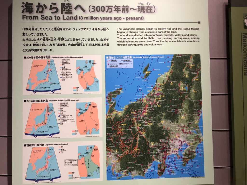 フォッサマグナミュージアム内の展示 海から陸へ