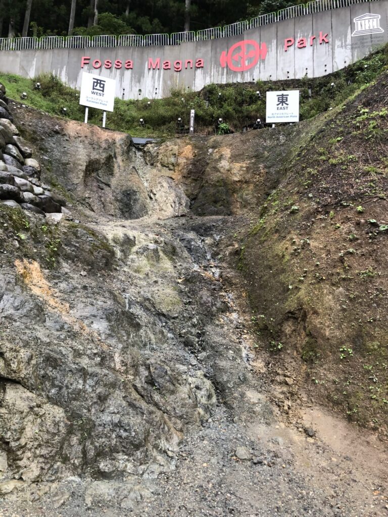 糸魚川-静岡構造線 断層見学公園 の露頭