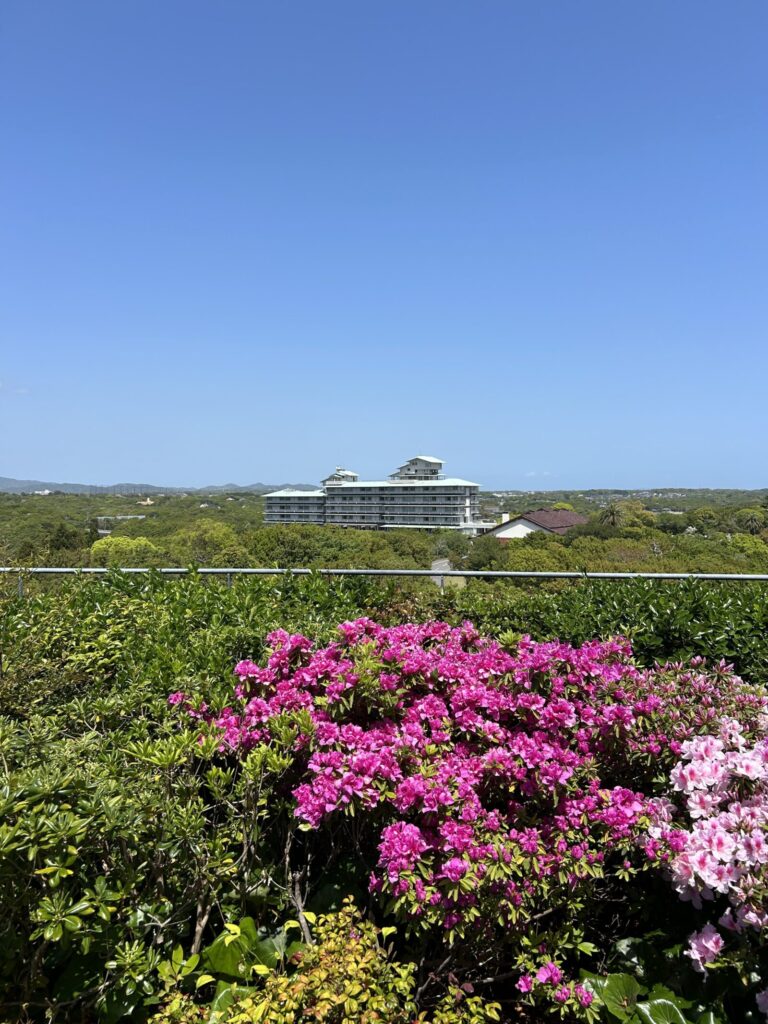 ベイスイート屋上庭園からクラシックを望む