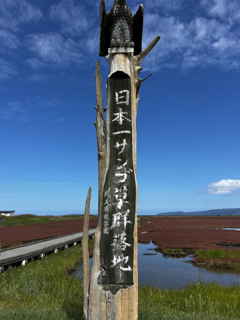 サンゴ草群生地の風景と表示の柱