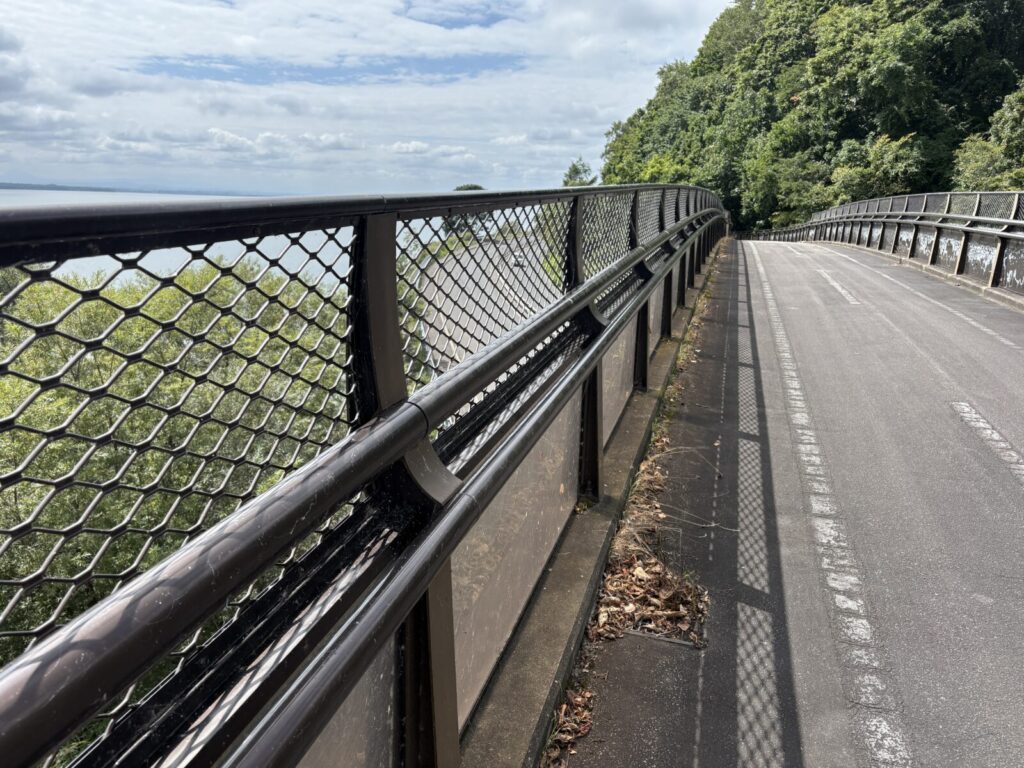 途中のサイクリングロード