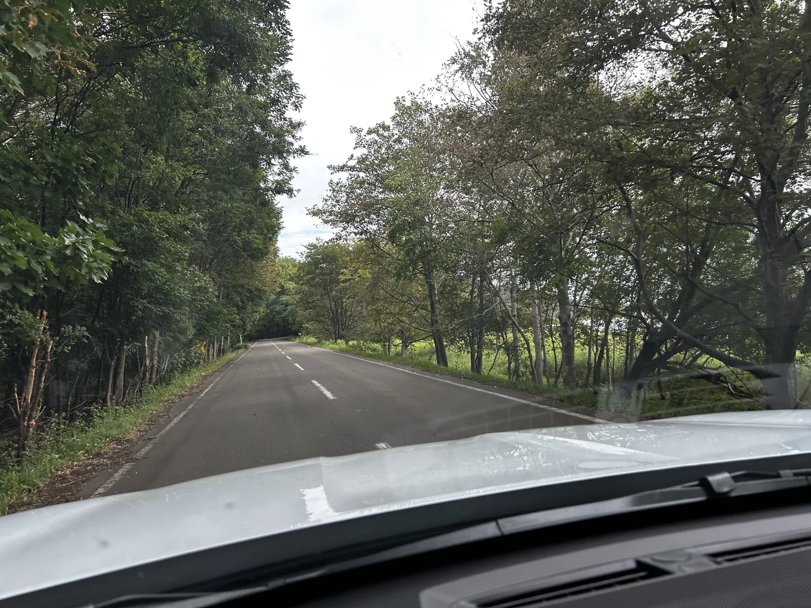 車内から見た、両側を木々に囲まれた能取岬周辺の道路
